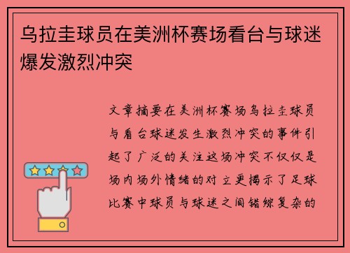 乌拉圭球员在美洲杯赛场看台与球迷爆发激烈冲突